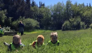 Hæglæti